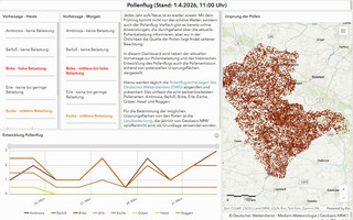Screenshot Dashboard Pollenflugvorhersage